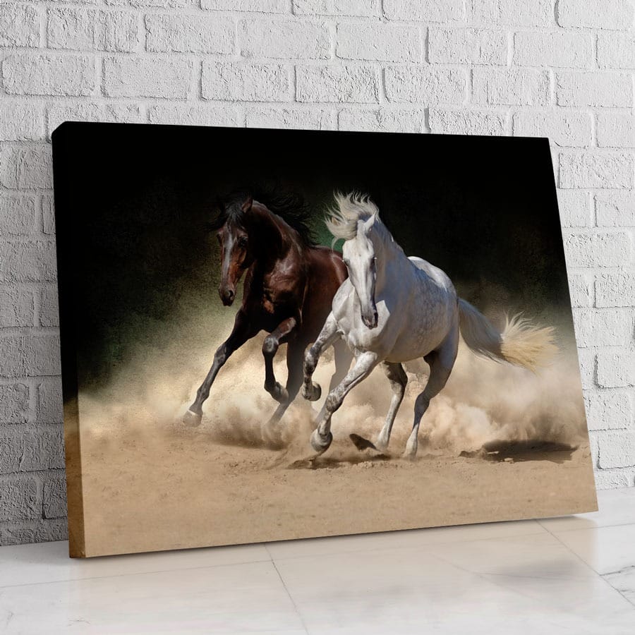 Anticipo 2 cuadros caballos y flor