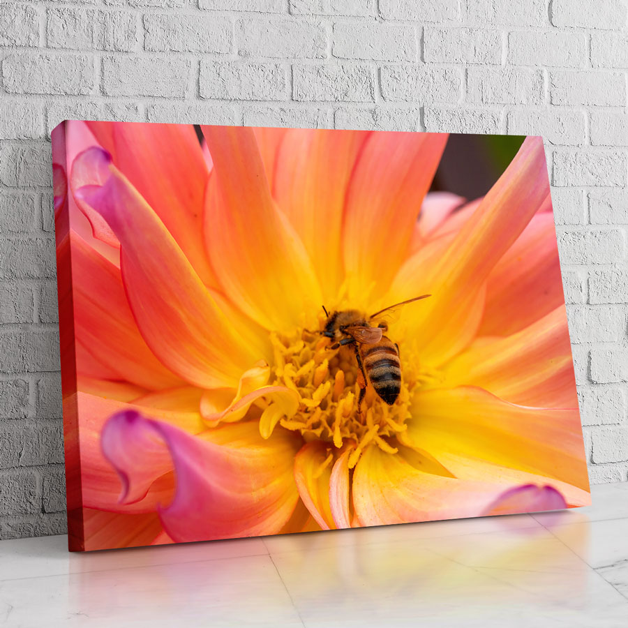 Abeja Real