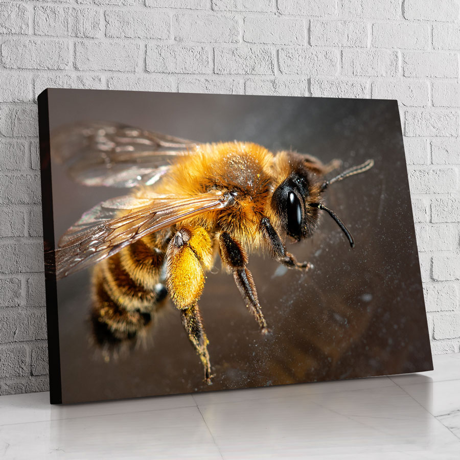 Lienzo de abeja en vuelo, arte decorativo para hogar y oficina.