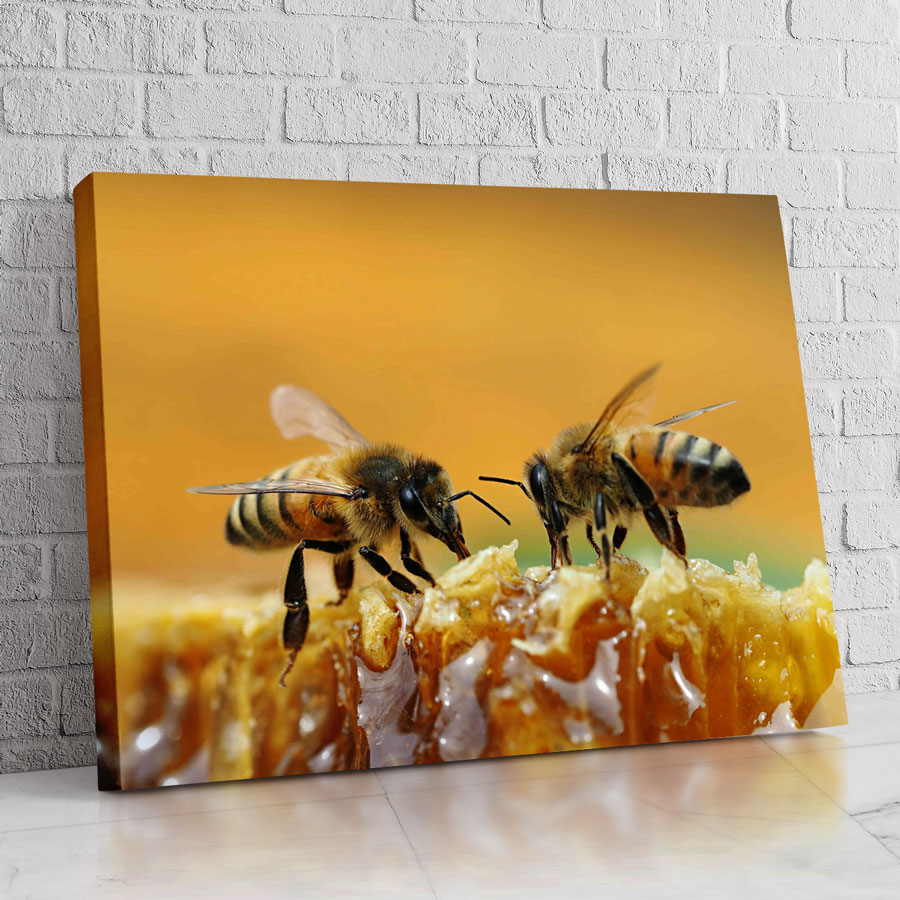 Lienzo con imagen de abejas en una colmena, arte para decoración de interiores.