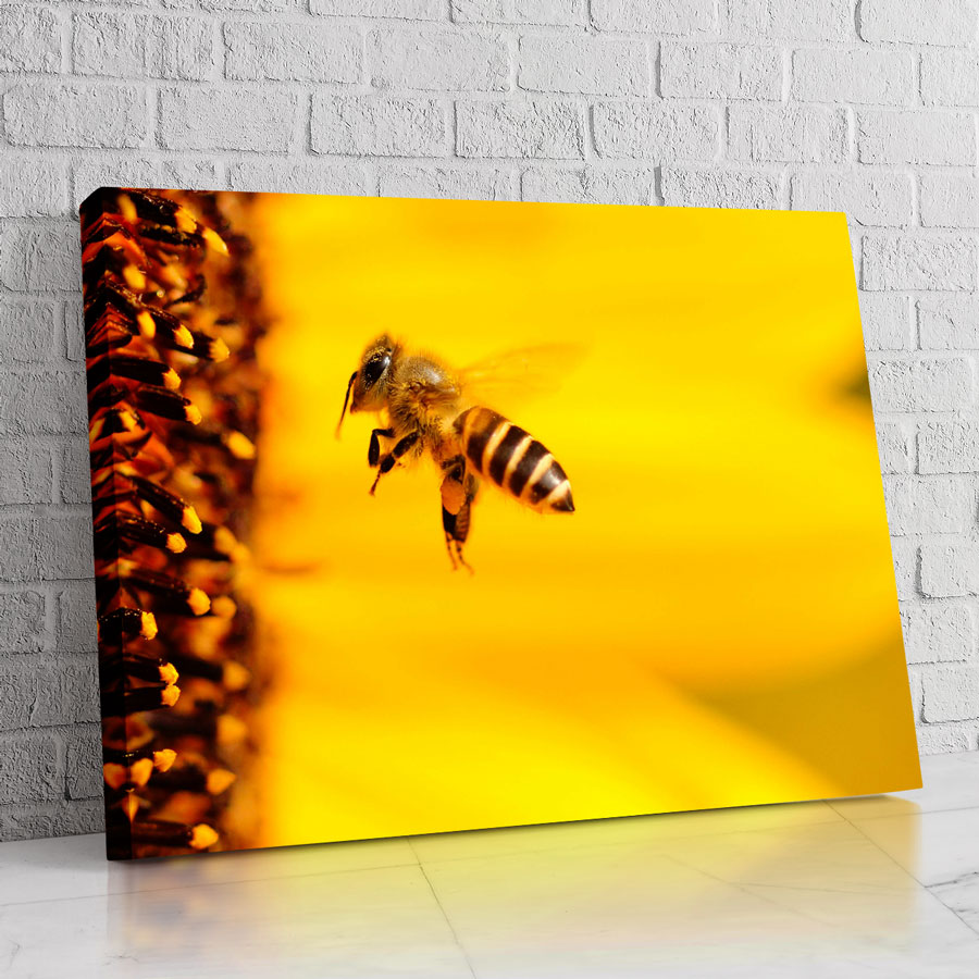Abeja Botánica