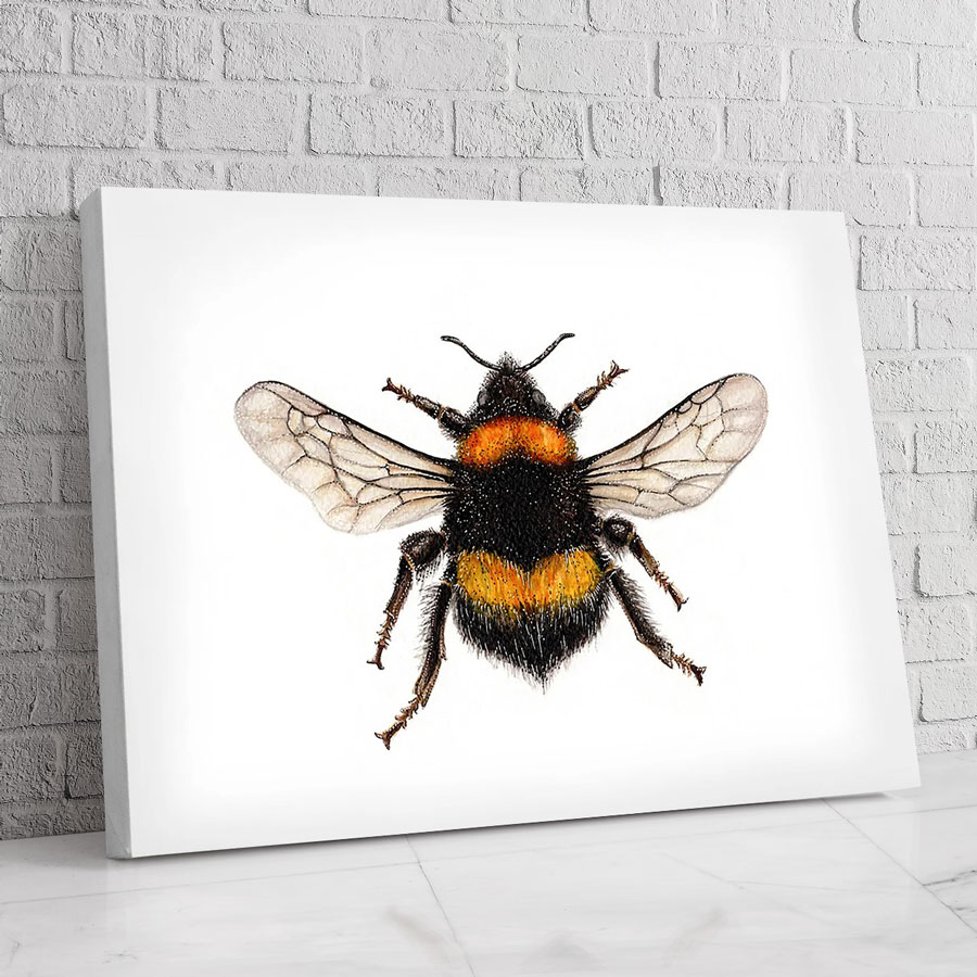 Abeja del Alba