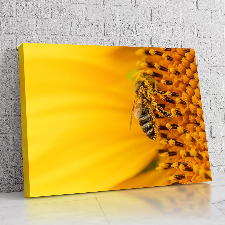 Flor Viva