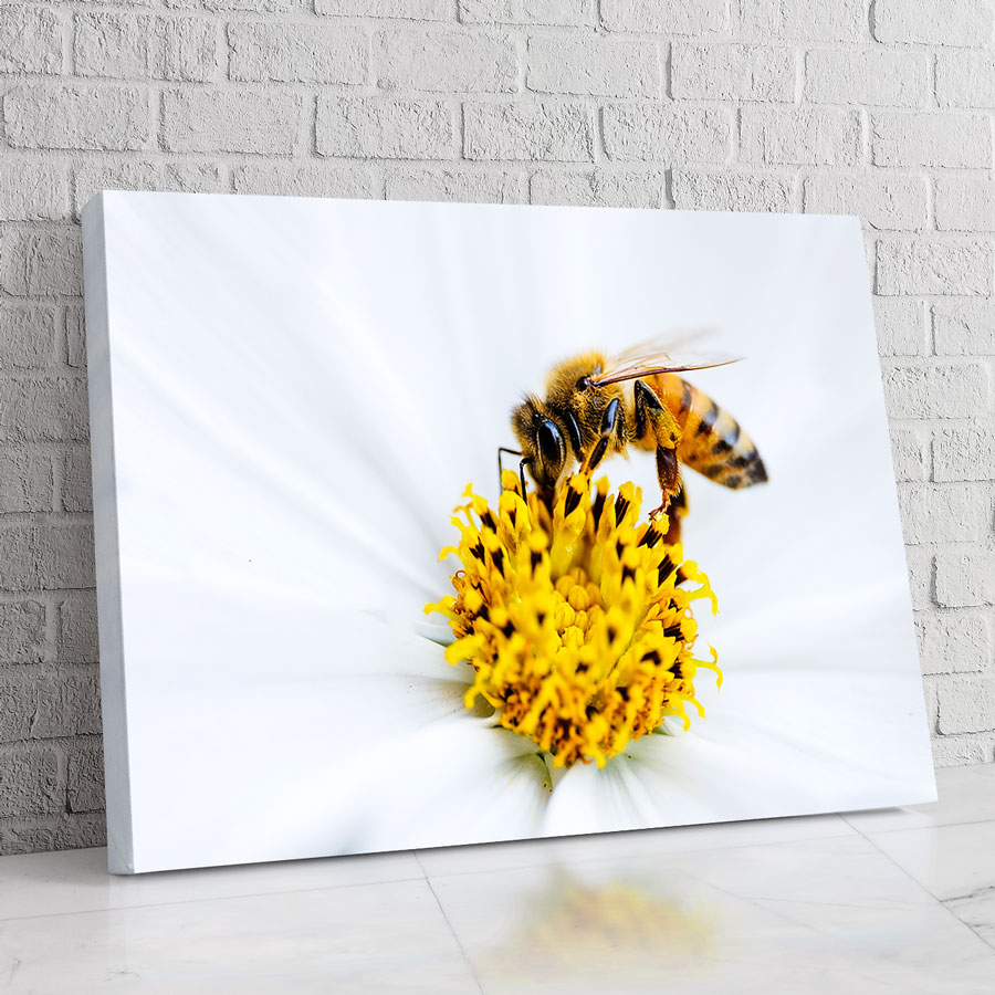 Abeja Vital