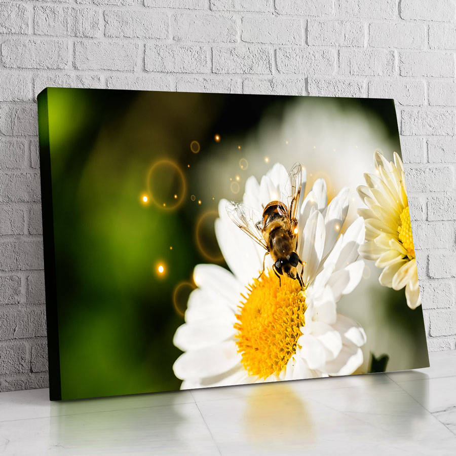 Abeja Fina