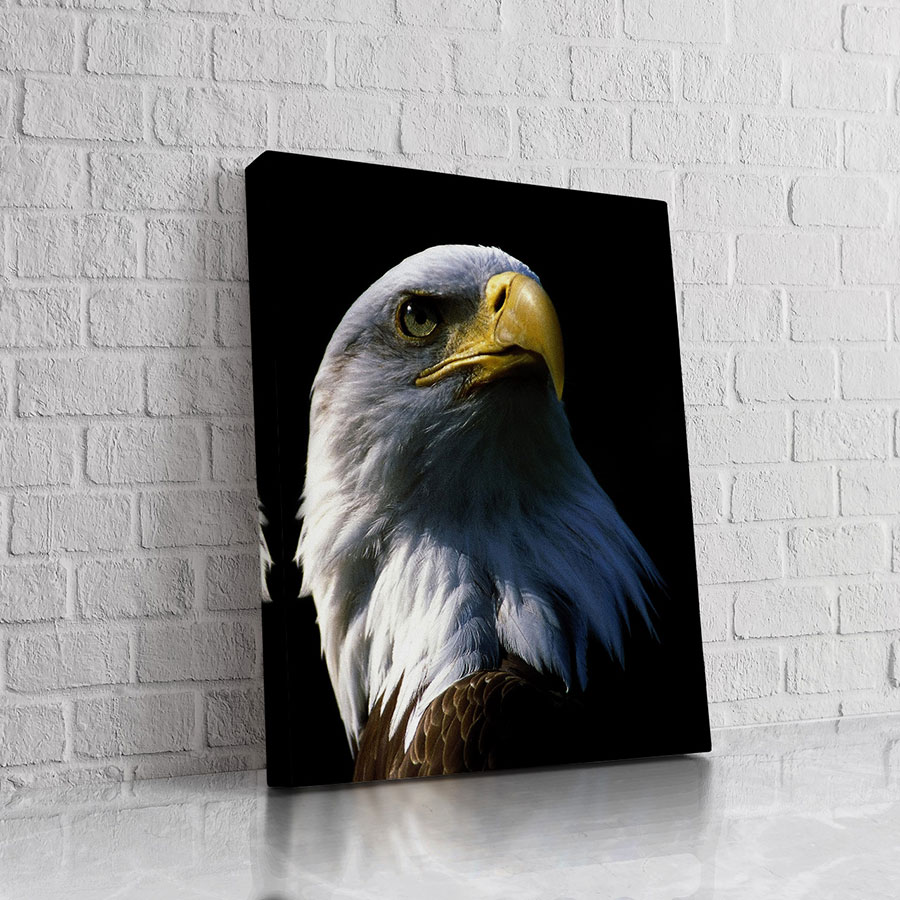 Águila de Alma Imperial