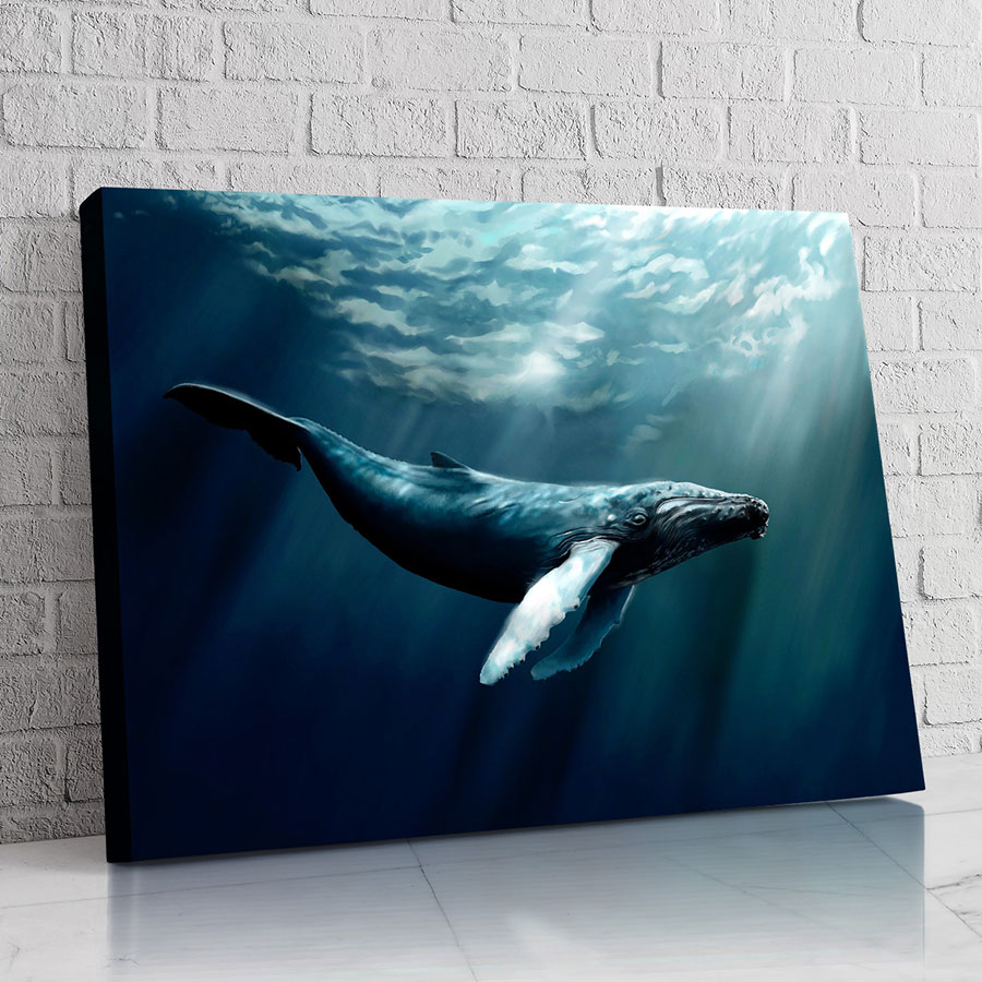Ballena del Océano