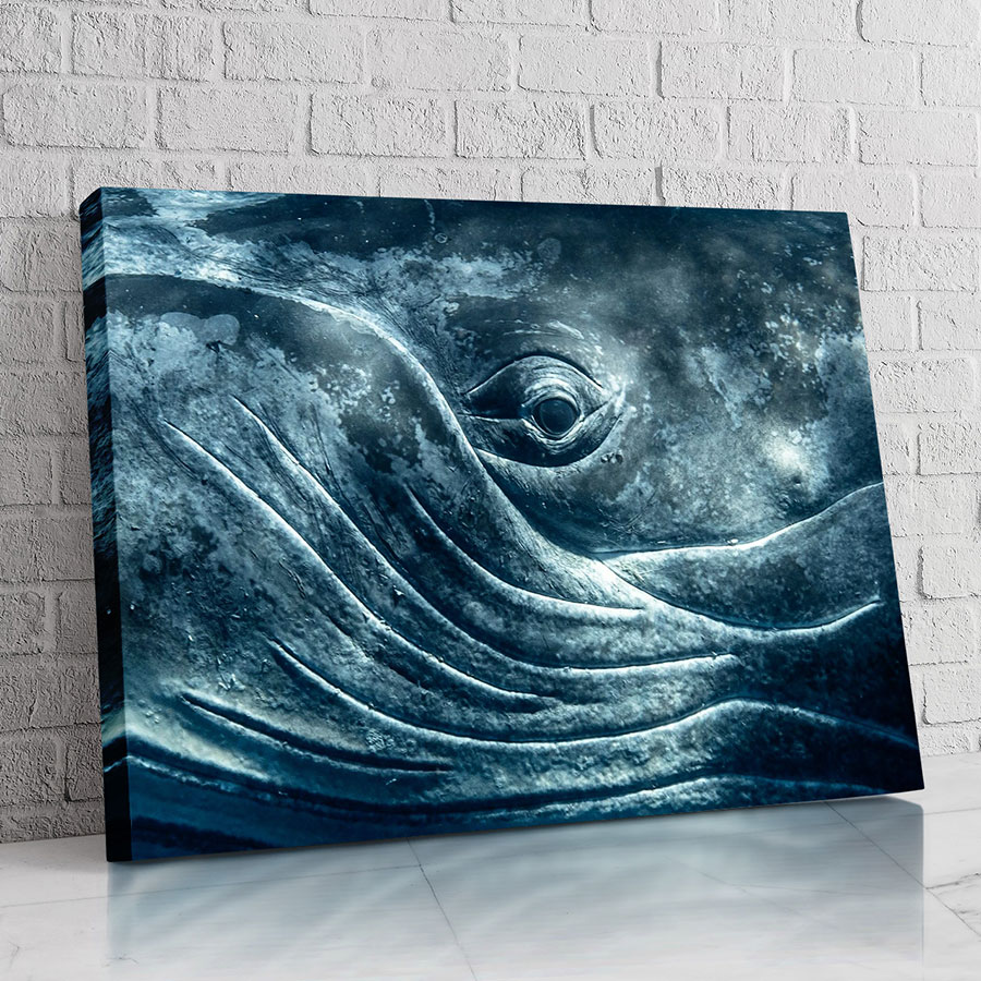 Ballena del Silencio