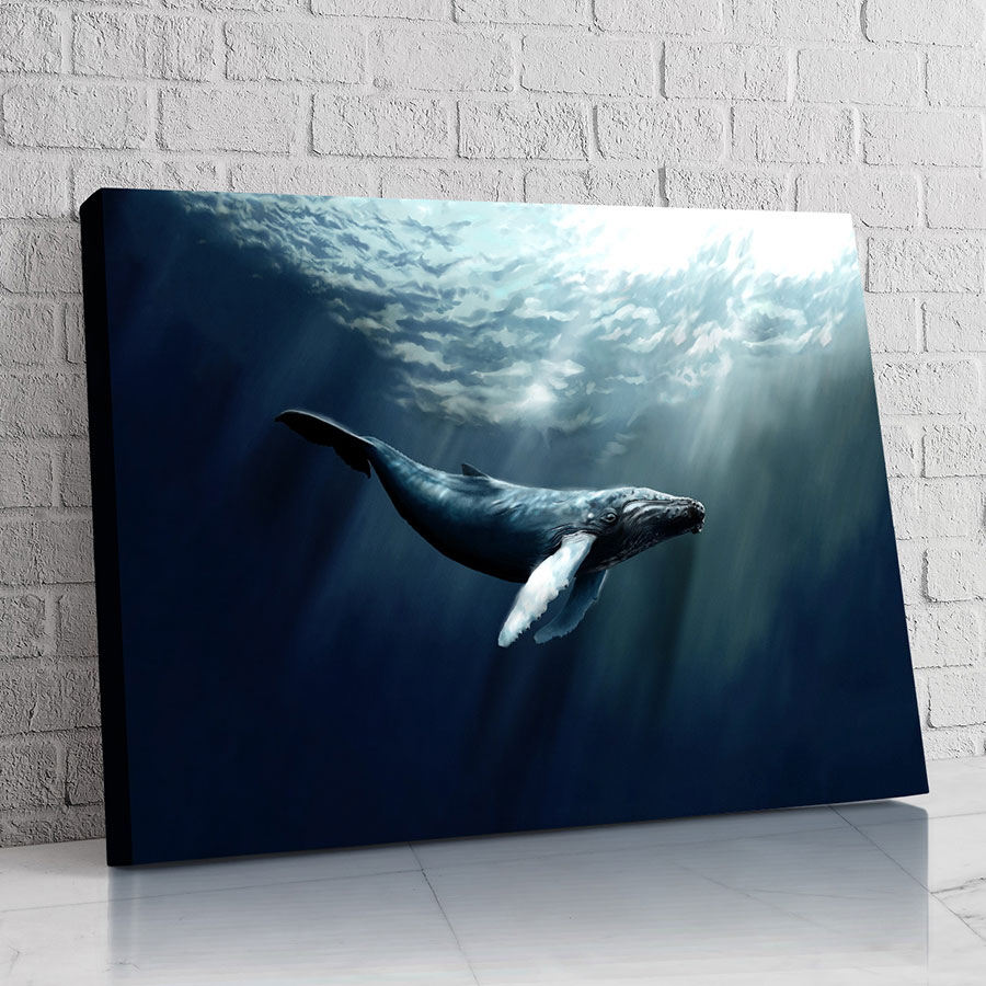Ballena Infinita