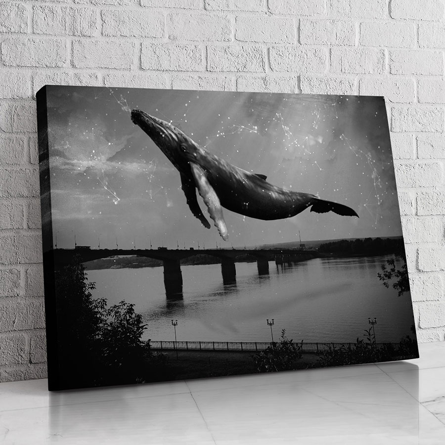 Ballena de Sabiduría