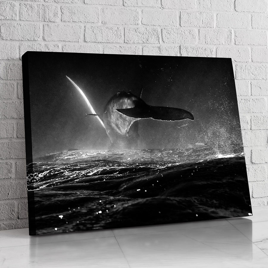 Ballena de Misterio