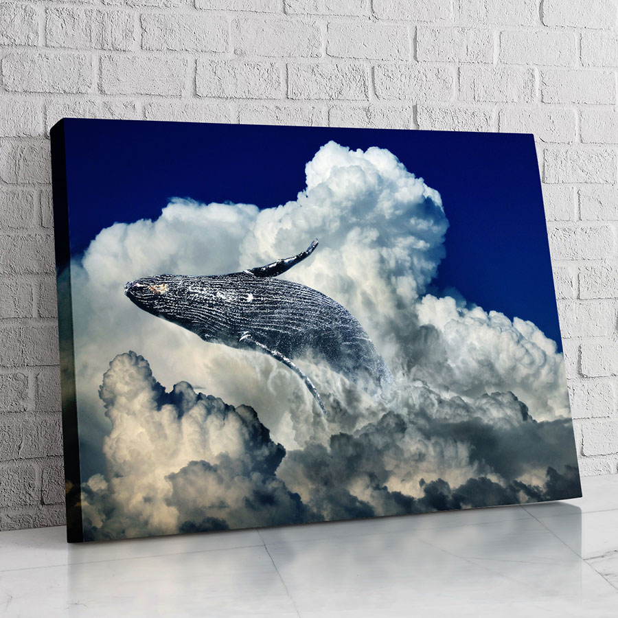 Ballena de Calma