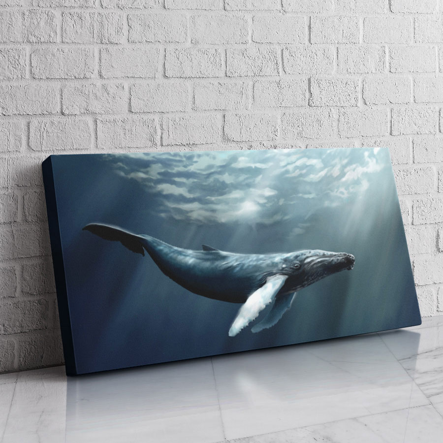 Ballena Sueño Azul
