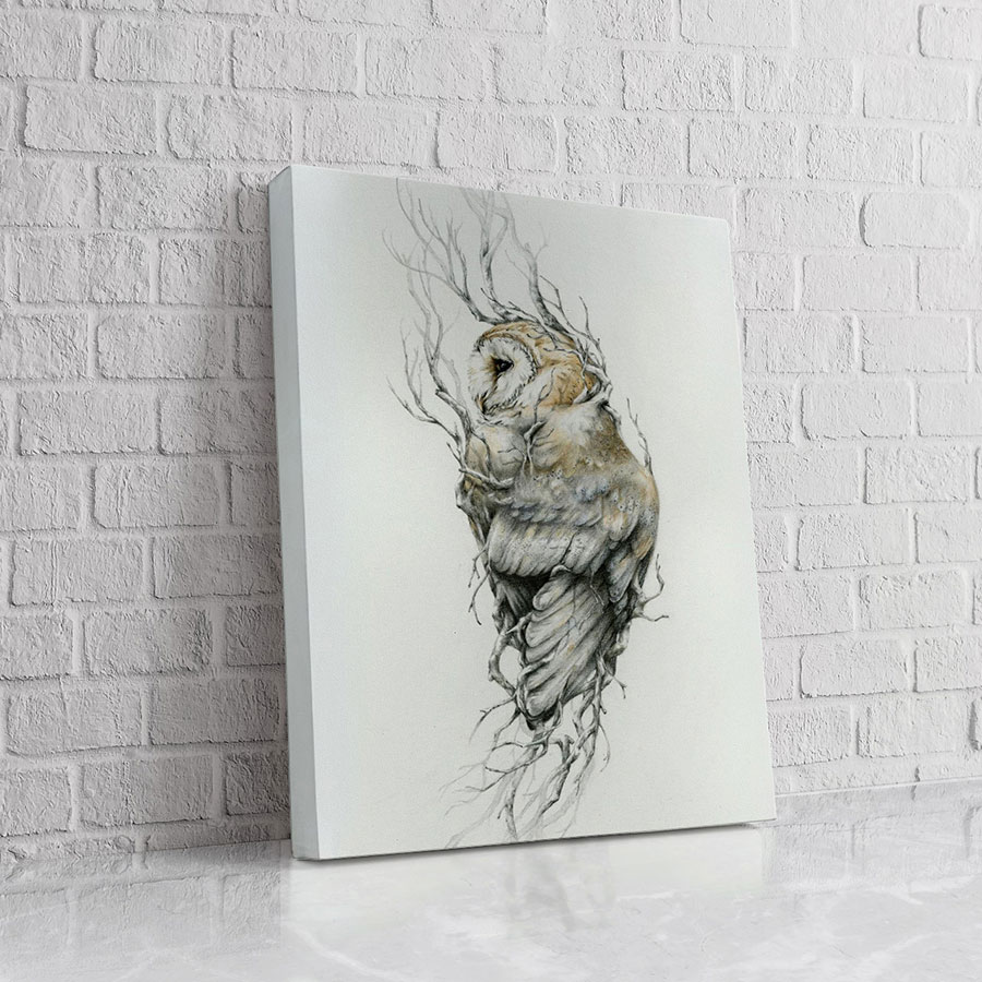Búho Boceto Blanco