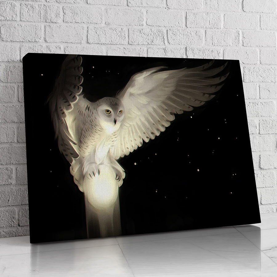 Búho Blanco Nocturno