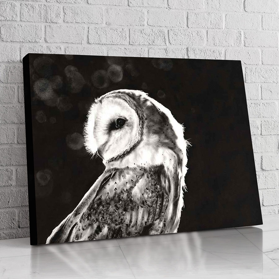 Búho Blanco y Negro