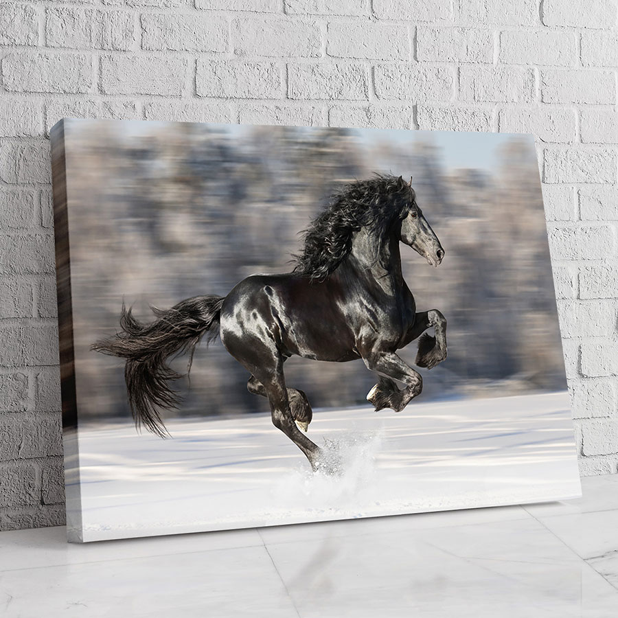 Caballo Fantasma