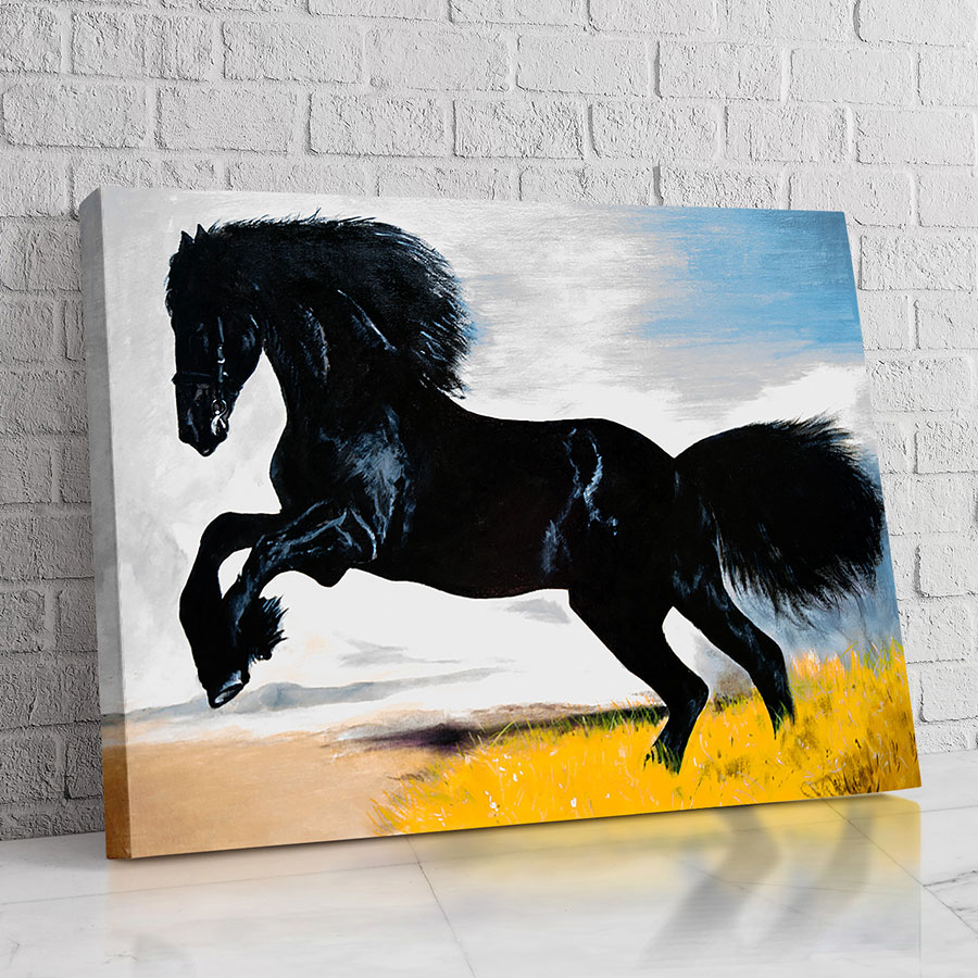 Caballo Negro del Horizonte