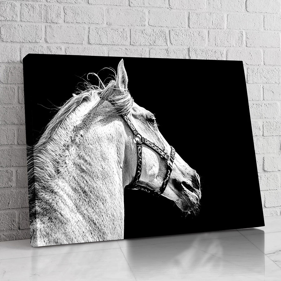 Caballo Blanco Clásico
