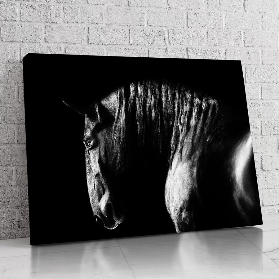 Caballo Blanco y Negro