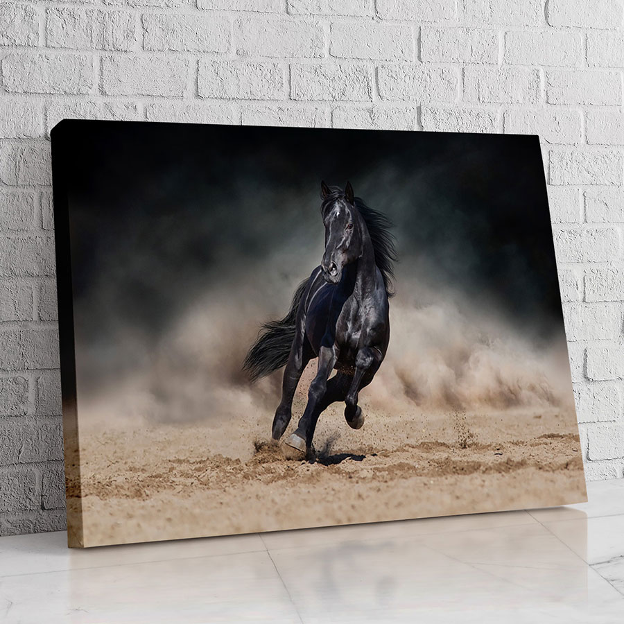 Caballo Negro en Tormenta