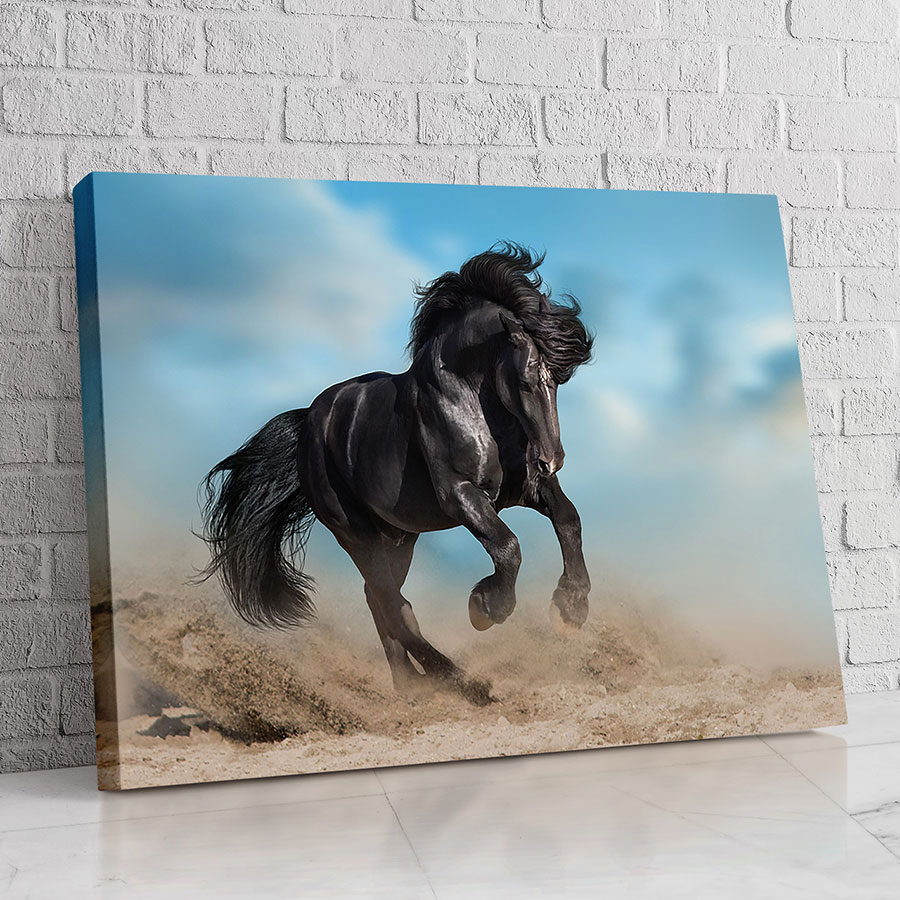 Caballo Libertad Negra