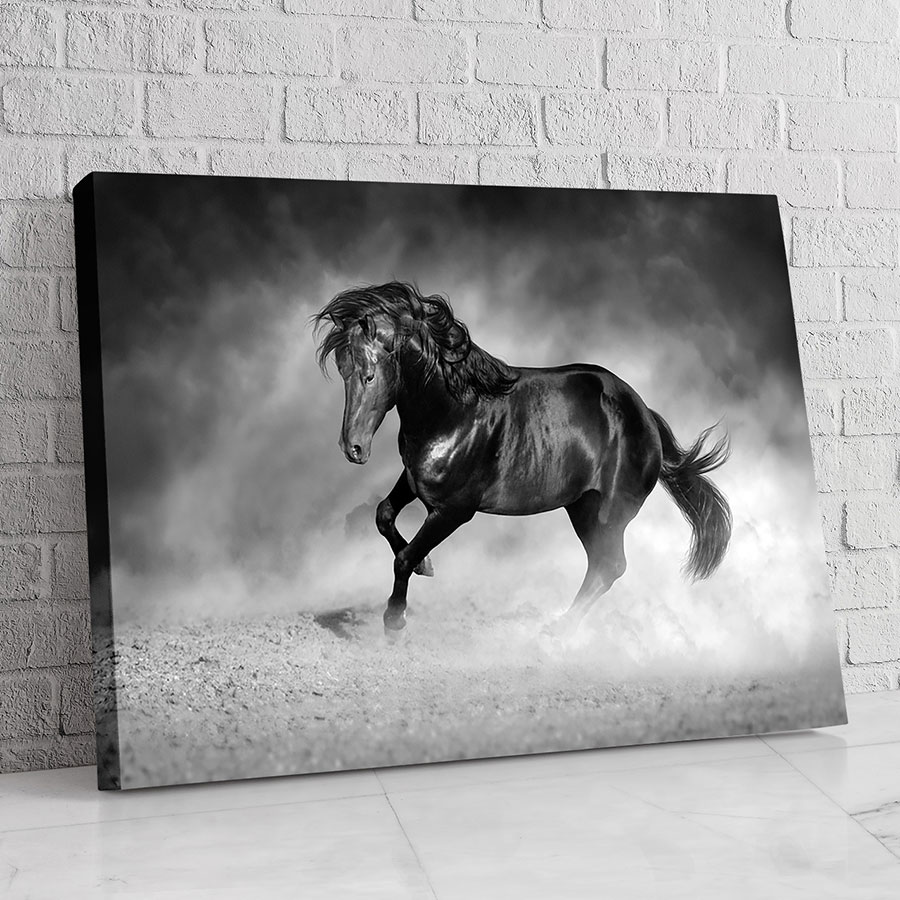 Caballo Gris en la Niebla