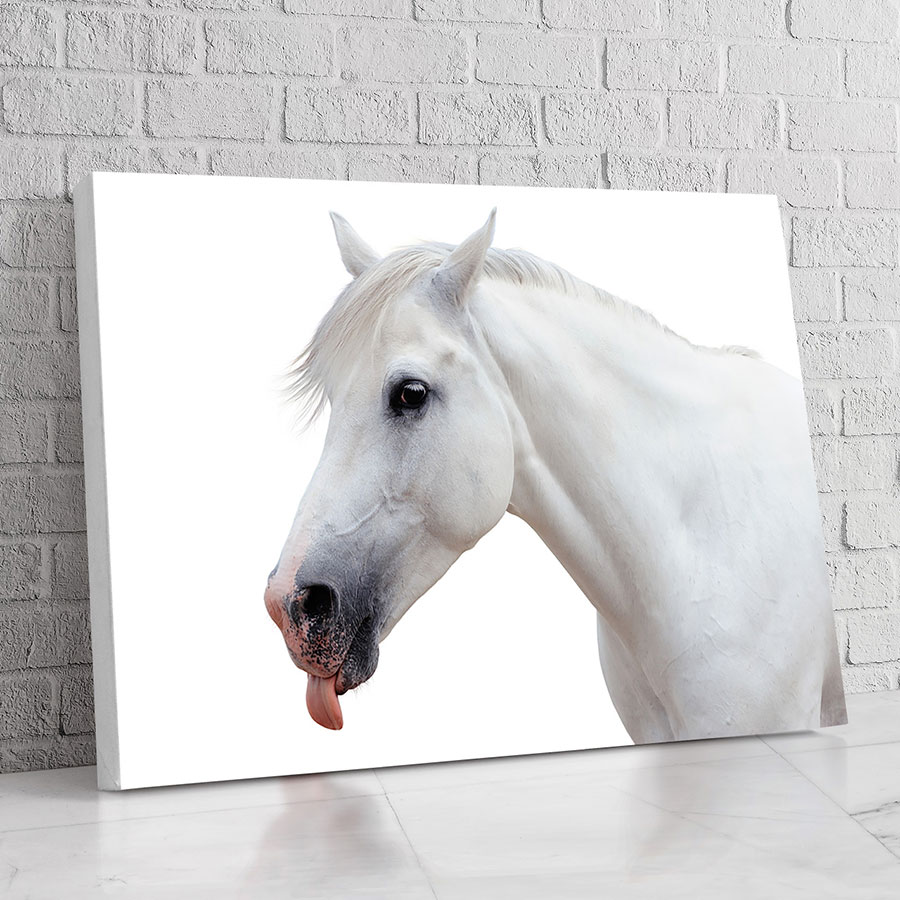Caballo Blanco Puro