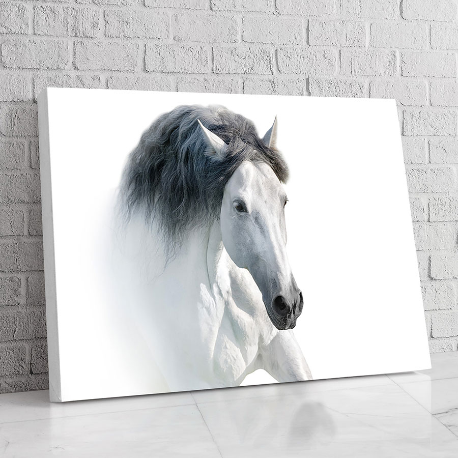 Caballo Blanco Sereno
