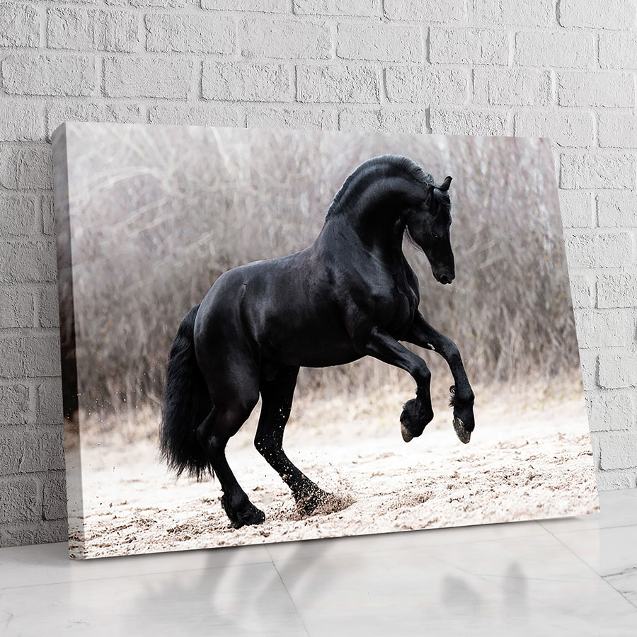 Caballo Negro en la Nieve