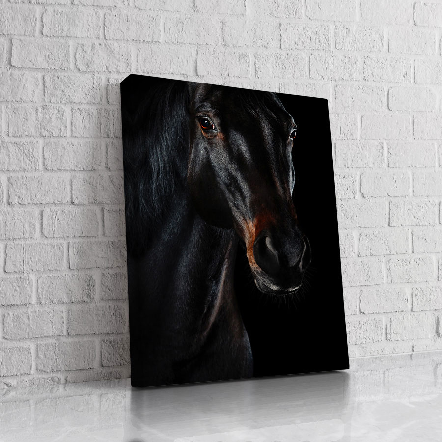 Caballo en Penumbra