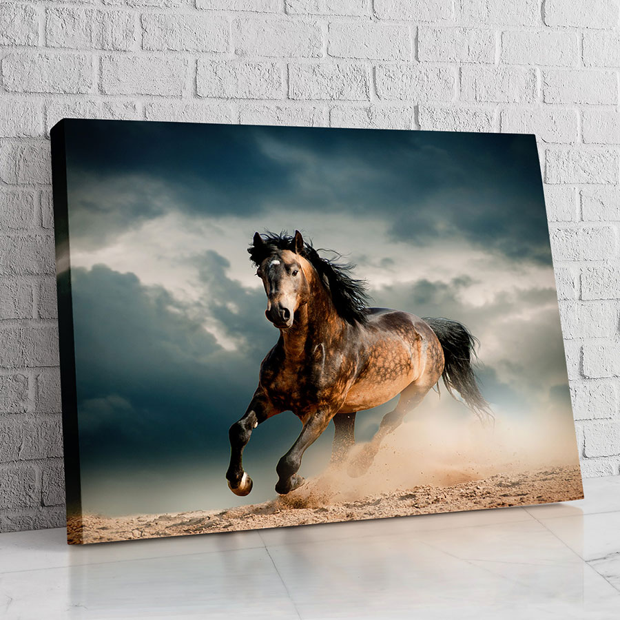 Caballo Libre