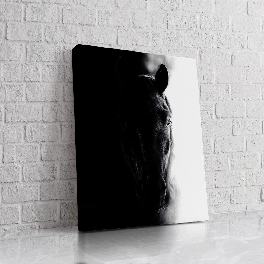 Caballo Blanco y Negro