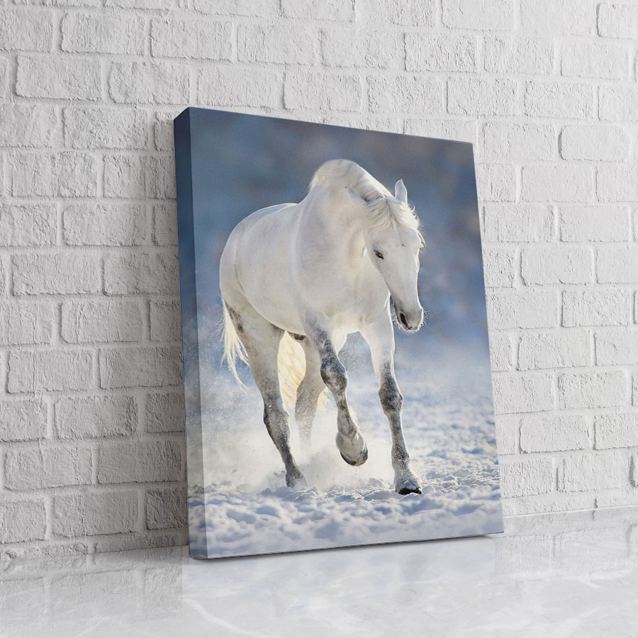 Caballo Blanco de la Niebla