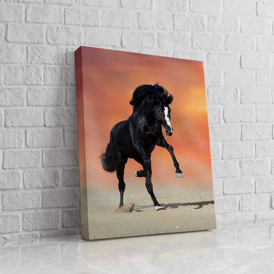 Caballo del Ocaso