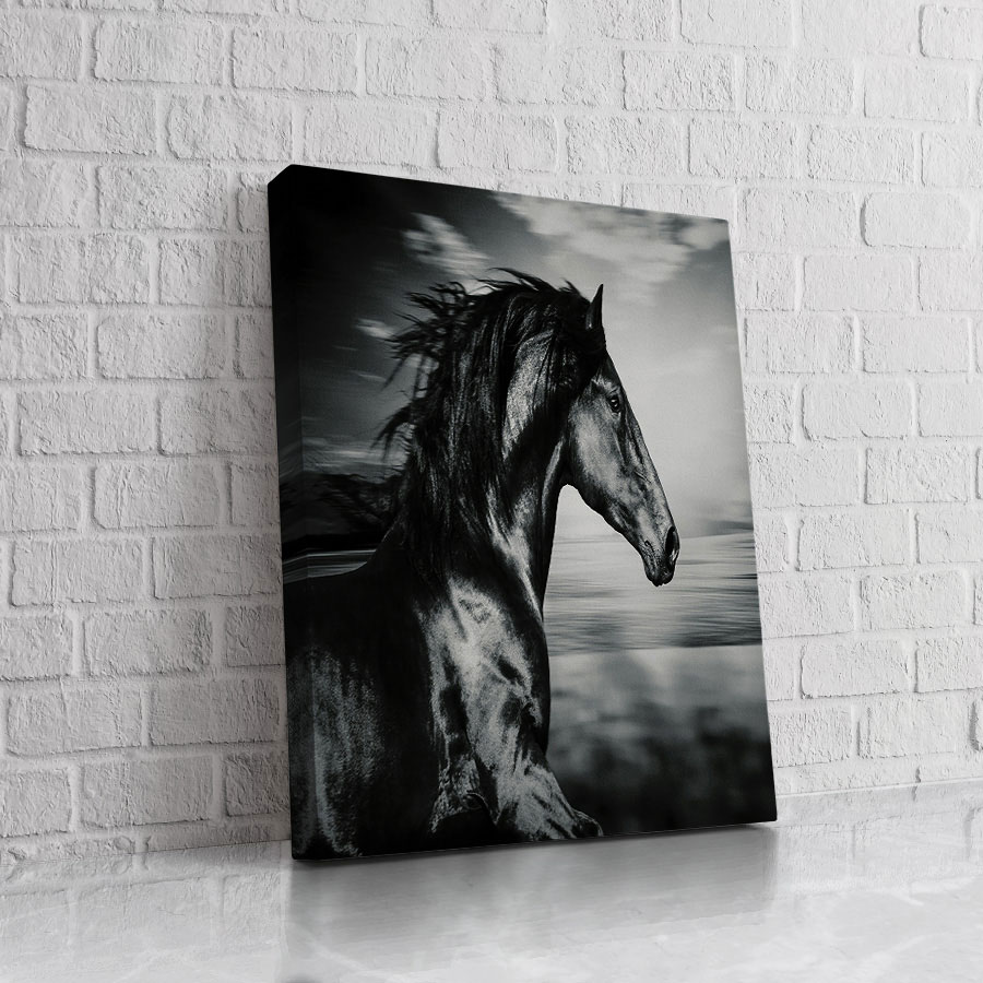 Caballo Gris en Bruma