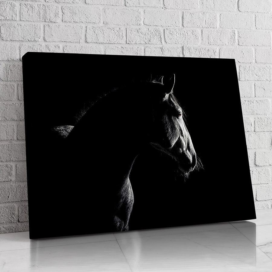 Caballo Sombra