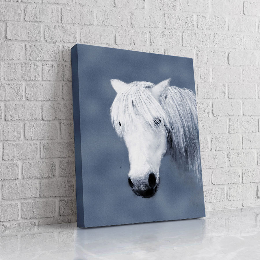 Caballo Nube Blanca