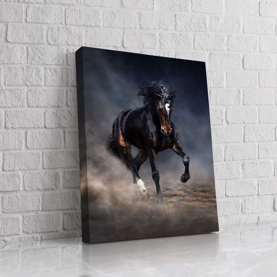 Caballo en la Tormenta