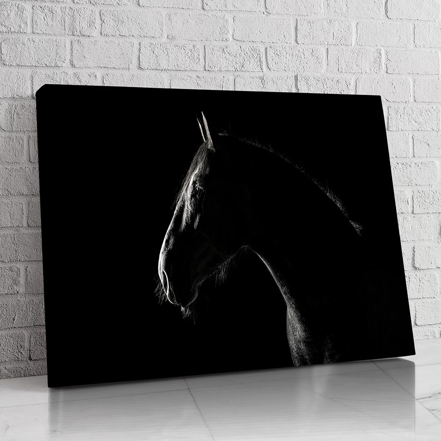 Caballo Noche
