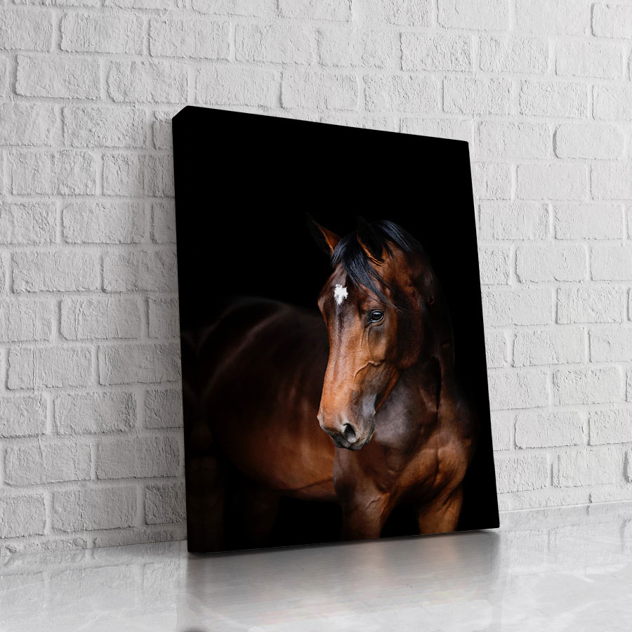 Caballo Castaño Elegante