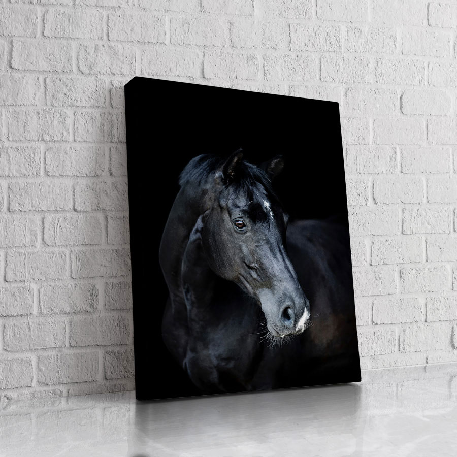 Caballo Sombra Azul