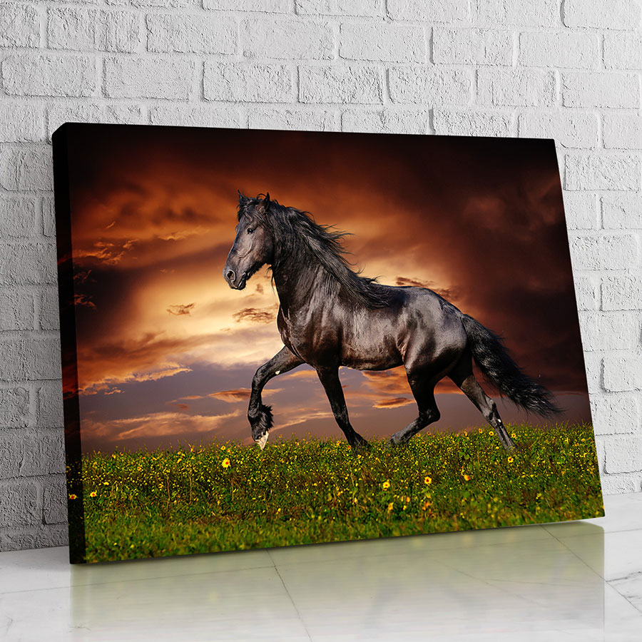 Caballo al Atardecer