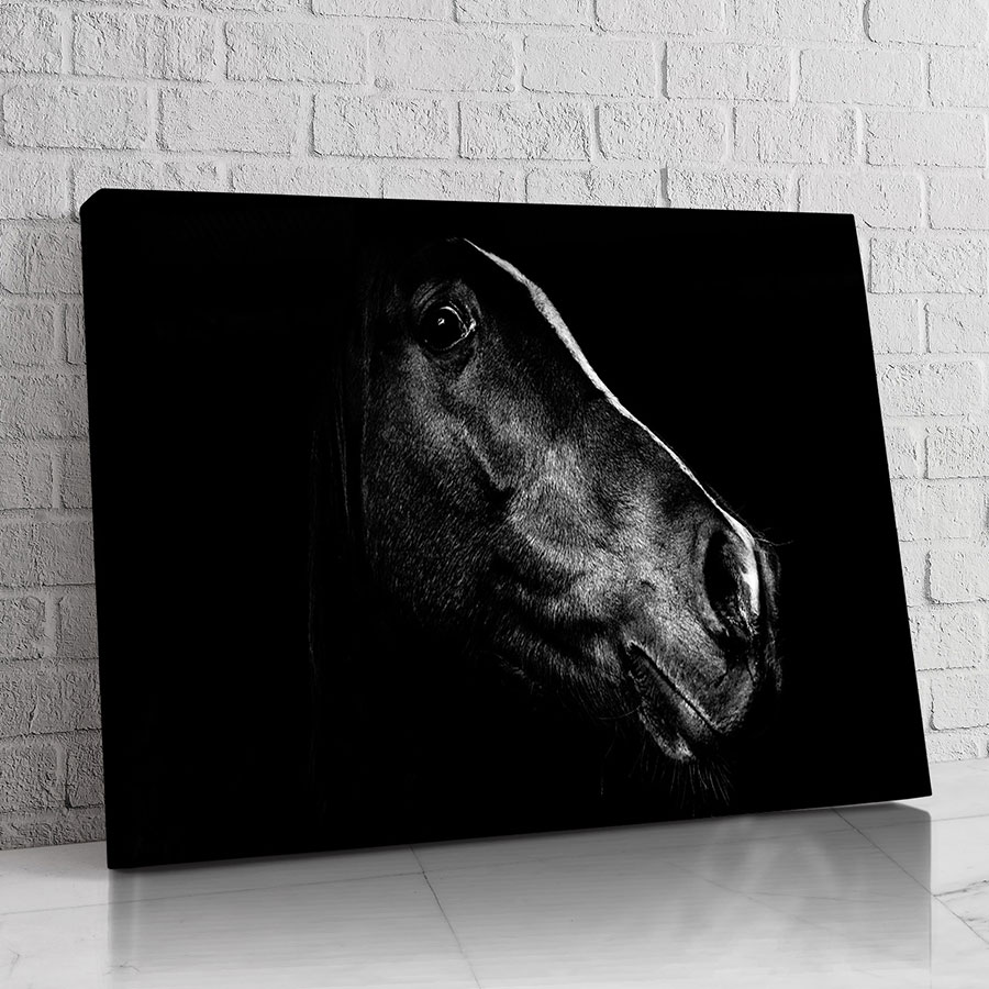 Caballo de Humo