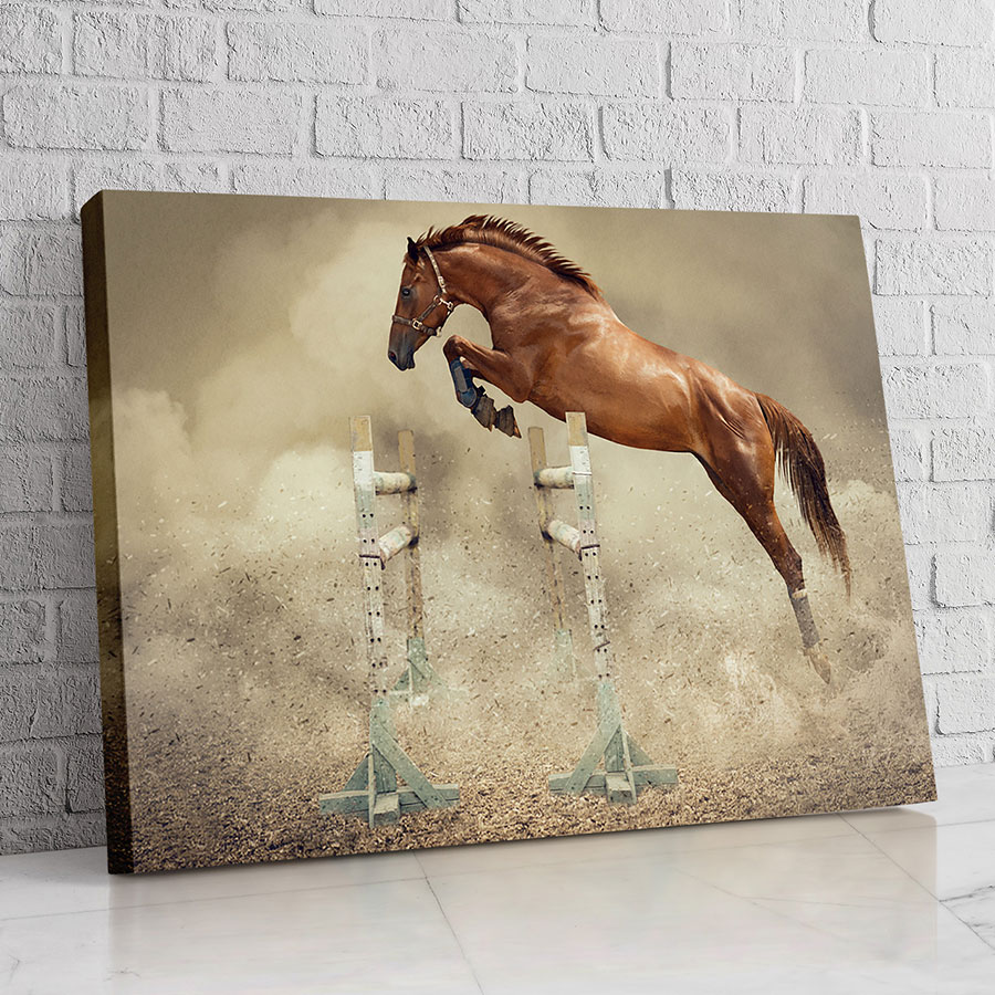 Caballo Saltando