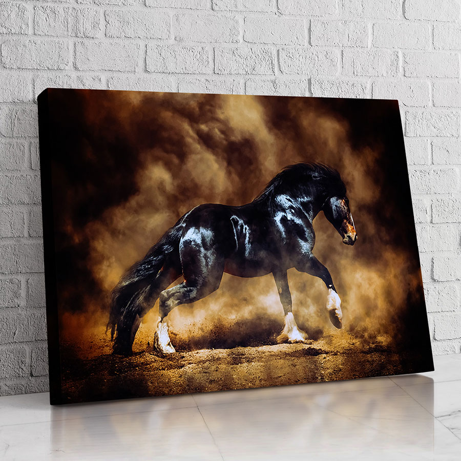 Caballo de Tormenta