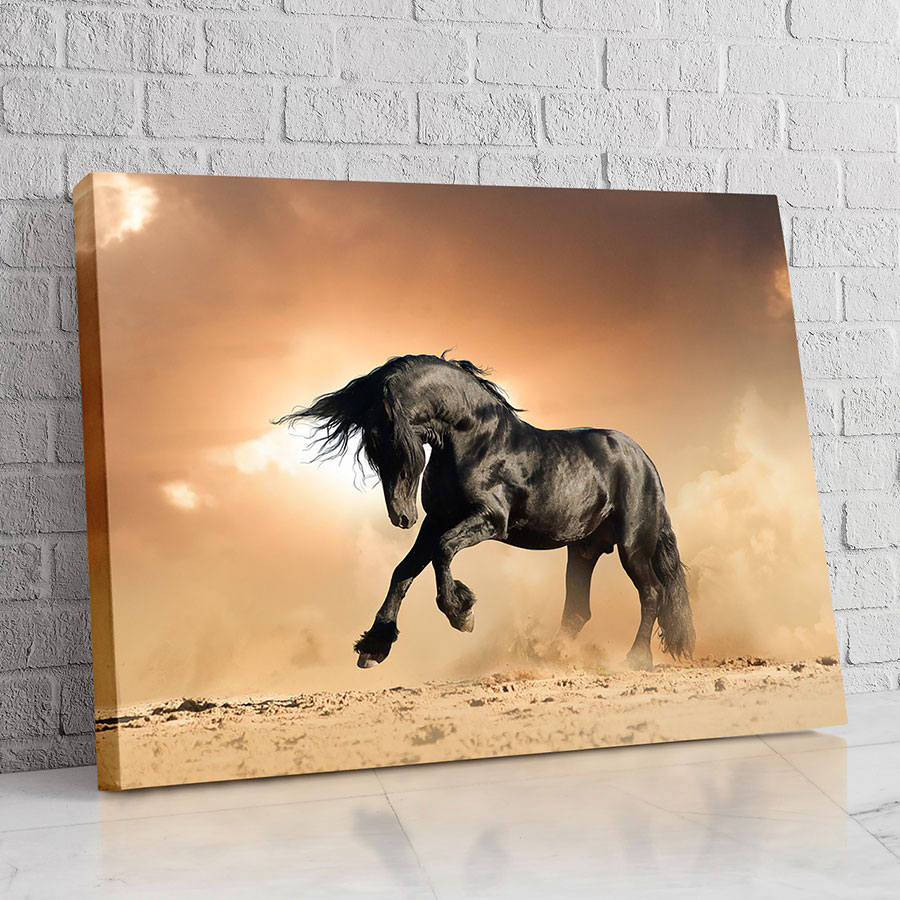 Caballo del Desierto