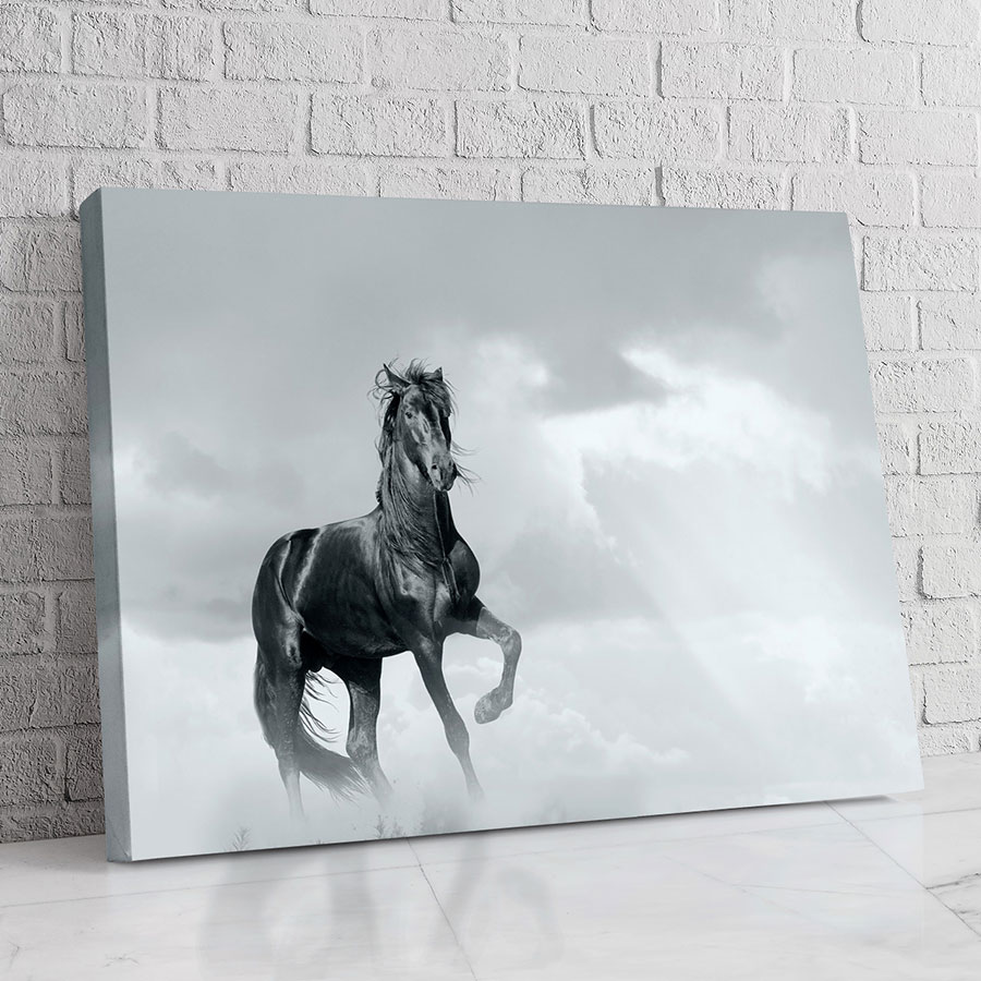Caballo en la Niebla