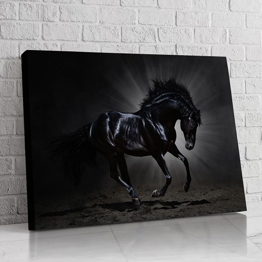 Caballo en Penumbra