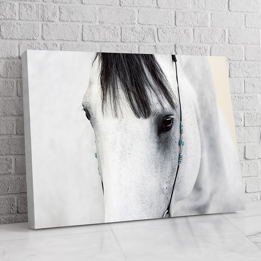 Caballo Blanco Minimal